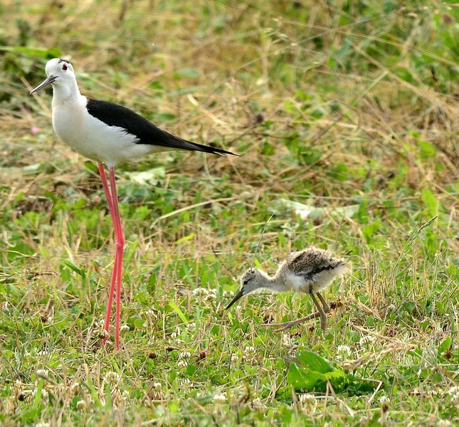 In Valle Paliaga